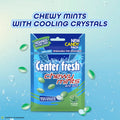 CENTER FRESH Mints Chewy Mints, Spearmint Flavour Candy Pouch Visual